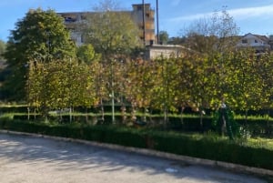 Vanuit Tirana/Durres: WIJNPROEVERIJ IN DE USSR-WIJNGAARD LIBRAZHD