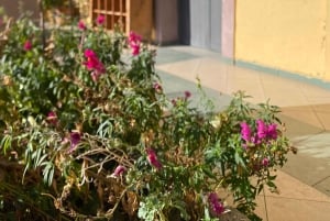 Vanuit Tirana/Durres: WIJNPROEVERIJ IN DE USSR-WIJNGAARD LIBRAZHD