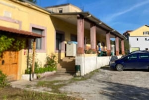 Vanuit Tirana/Durres: WIJNPROEVERIJ IN DE USSR-WIJNGAARD LIBRAZHD