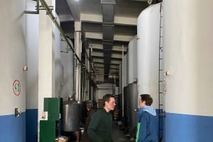 Vanuit Tirana/Durres: WIJNPROEVERIJ IN DE USSR-WIJNGAARD LIBRAZHD