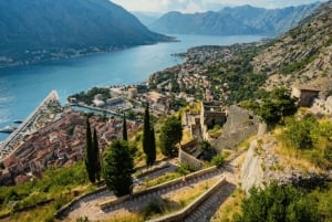 Dall'Albania: Tour di un giorno in Montenegro, Budva e S. Stefan