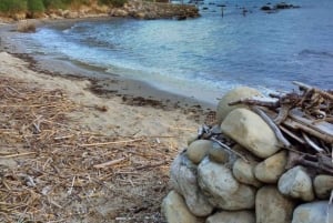 From Tirana: Explore Durres Museum, Amphitheater & Coastal.