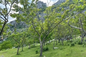Från Tirana: Vandringstur till berget Gamti och Bovillasjön