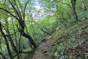 From Tirana: Hiking to Pellumbas Cave & Erzeni Canyon