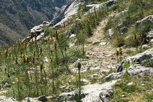 From Tirana: Hiking tour to Dajti mountain and Bovilla lake