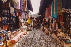 Au départ de Tirana : château de Kruja, vieux bazar et visite de Sari Salltik.