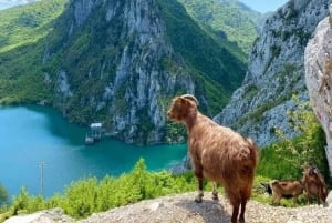 Da Tirana: Tour del Lago di Bovilla e della Montagna di Gamti