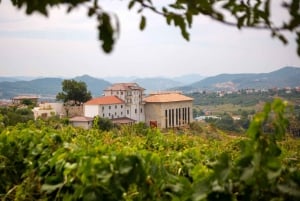 Lundër: Lundra Winery Guided Tour with Wine Tasting