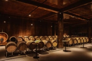 Lundër: Lundra Winery Guided Tour with Wine Tasting