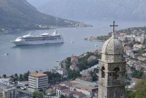 Desde Tirana: Montenegro viaje diario