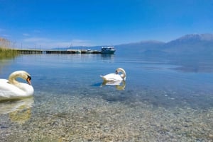 De Tirana: Lago Ohrid, Drilon, Lin, Pogradec com almoço