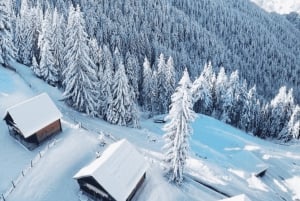 From Tirana/Durresi/Lalezi: Heart of Tirana & Mount Dajti