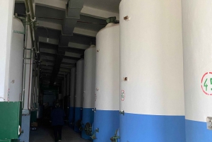 ティラナ/ドゥラスから：ソビエト連邦のワイナリー・リブラズドでのワイン試飲