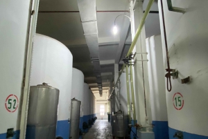 ティラナ/ドゥラスから：ソビエト連邦のワイナリー・リブラズドでのワイン試飲