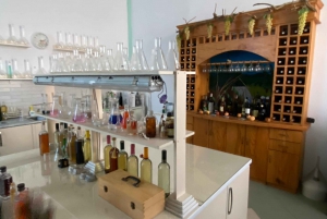 ティラナ/ドゥラスから：ソビエト連邦のワイナリー・リブラズドでのワイン試飲