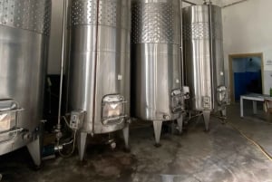 ティラナ/ドゥラスから：ソビエト連邦のワイナリー・リブラズドでのワイン試飲