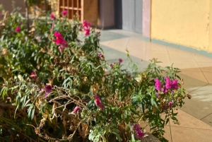 ティラナ/ドゥラスから：ソビエト連邦のワイナリー・リブラズドでのワイン試飲