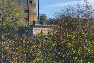 ティラナ/ドゥラスから：ソビエト連邦のワイナリー・リブラズドでのワイン試飲