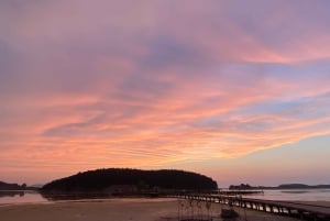 From Tirana:Sazan,Karaburun Beach tour &Paragliding in Vlora