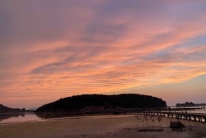 From Tirana:Sazan,Karaburun Beach tour &Paragliding in Vlora