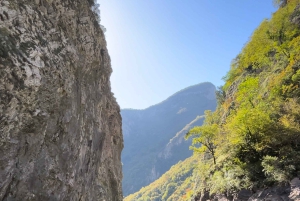 Vanuit Tirana: Shala River Boat Tour Dagtrip