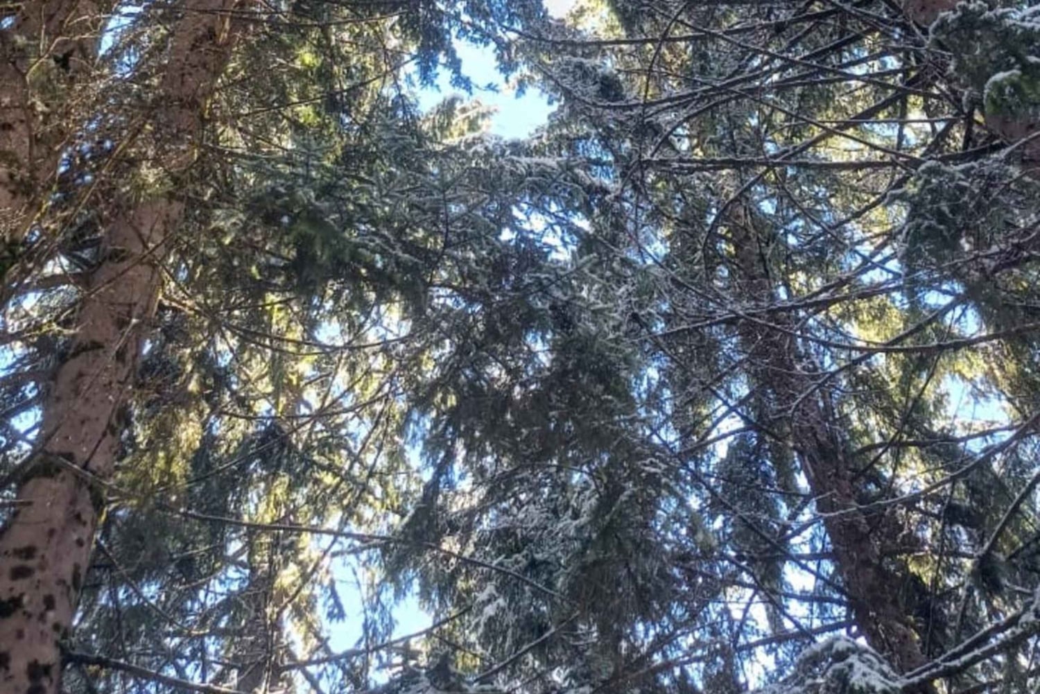 Desde Tirana/Shkodër: naturaleza y pueblos (tour de invierno de 3 días)