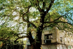 Fra Tirana: Shkodër – Rozafa-slottet, gamlebyen og maskefabrikken