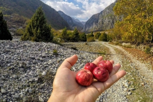 Small Group Hiking Tour of Theth & Blue Eye in 2 Days