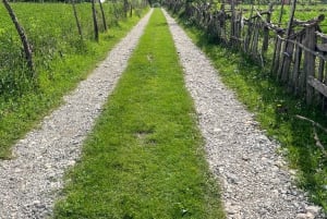 From Tirana: Thethi National Park and Shkoder City 2-Day