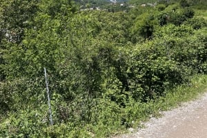 From Tirana: Thethi National Park and Shkoder City 2-Day