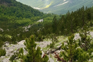 De Tirana: Parque Nacional Thethi e cidade de Shkoder, 2 dias