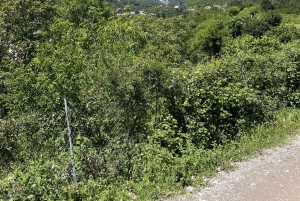 De Tirana: Parque Nacional Thethi e cidade de Shkoder, 2 dias