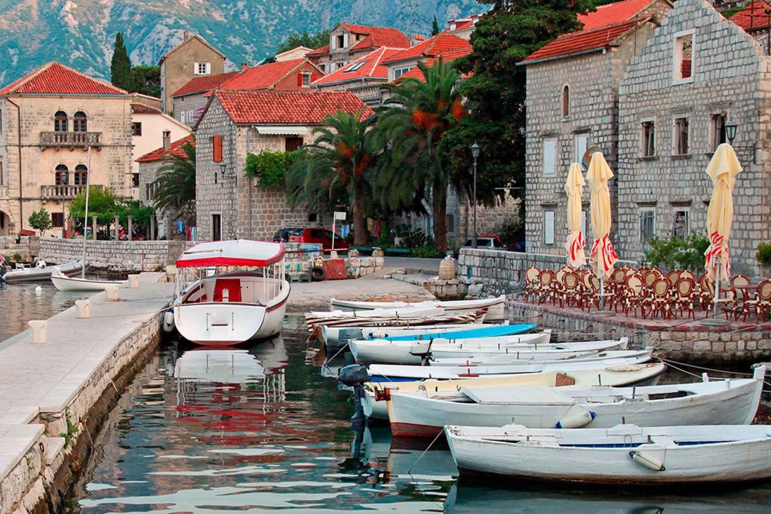 From Tirana to Montenegro: Kotor and Budva, Day tour
