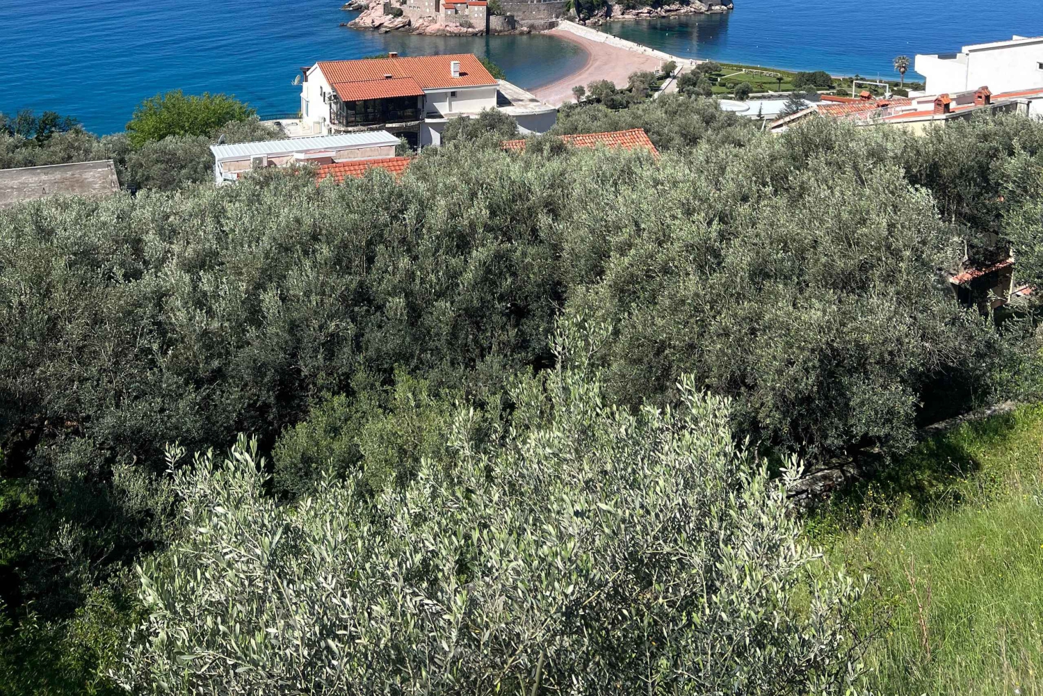 From Tirana to Montenegro: Kotor and Budva, Day tour