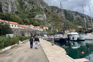From Tirana to Montenegro: Kotor and Budva, Day tour