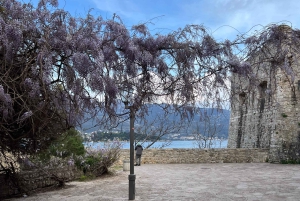 De Tirana a Montenegro: Kotor y Budva, Excursión de un día