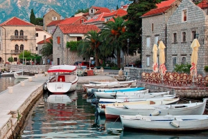 From Tirana to Montenegro: Kotor and Budva, Day tour