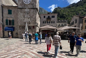 From Tirana to Montenegro: Kotor and Budva, Day tour