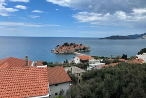 From Tirana to Montenegro: Kotor and Budva, Day tour