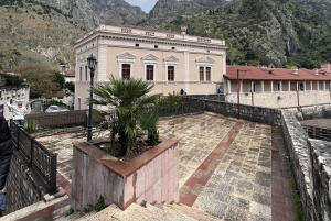 From Tirana to Montenegro: Kotor and Budva, Day tour