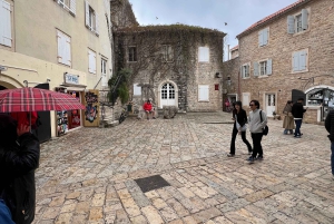 From Tirana to Montenegro: Kotor and Budva, Day tour