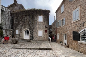 From Tirana to Montenegro: Kotor and Budva, Day tour
