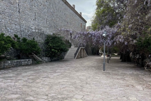 From Tirana to Montenegro: Kotor and Budva, Day tour