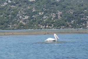 From Virpazar: Lake Skadar Scenic Boat Trip in Nature