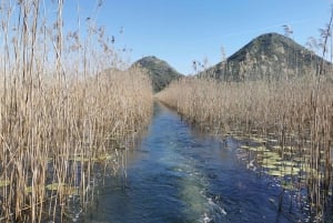 Från Virpazar: Naturskön båttur i naturen vid sjön Skadar