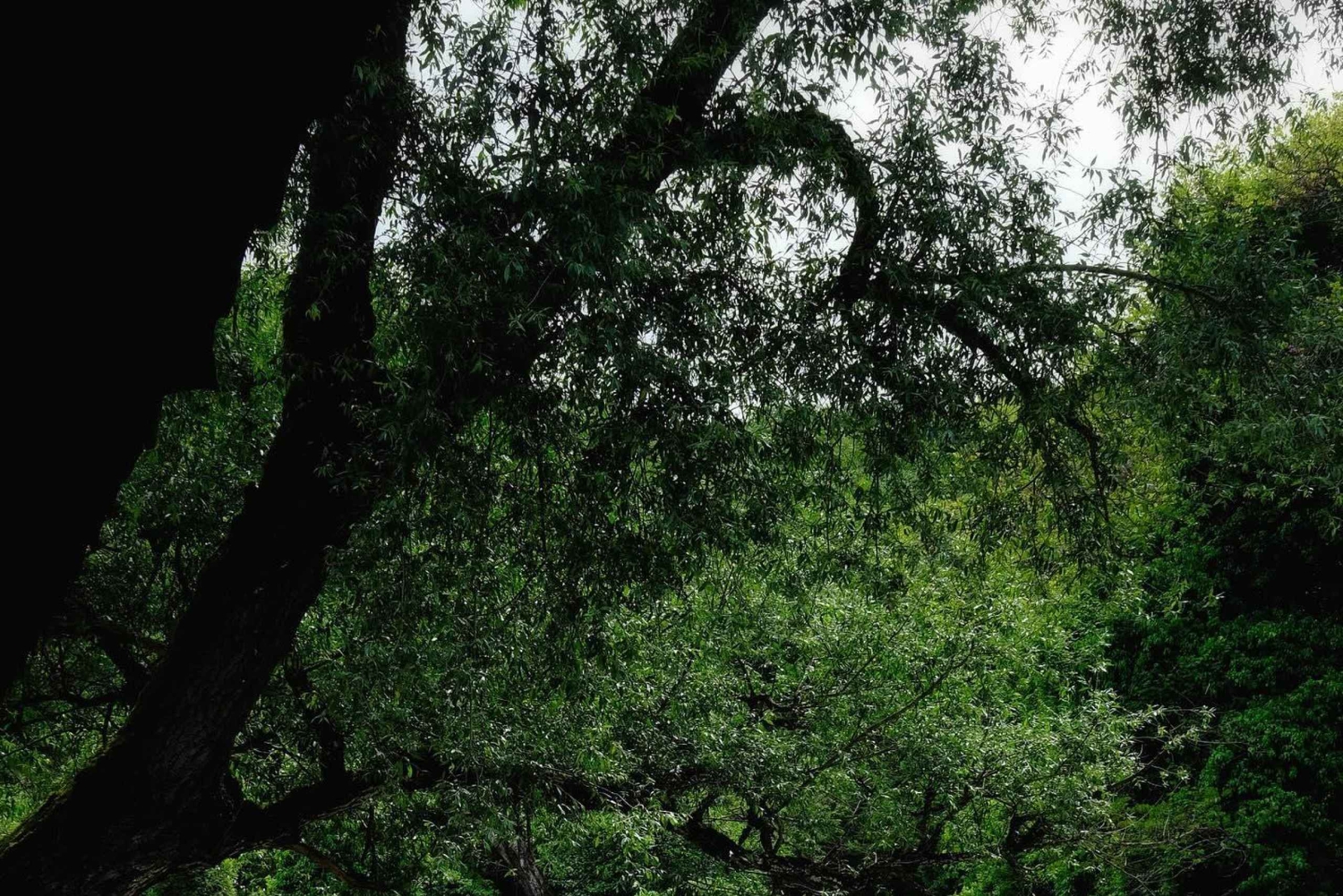 Vanuit Vlora: Tepelene Springs, Gjirokaster & Blue Eye Day Tour