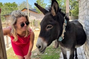 Vlorë: puente Brataj, cañón Nivica y cascada Peshtura