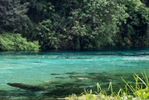 From Vlora:Tepelene Springs, Gjirokaster & Blue Eye Day Tour