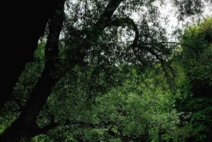 From Vlora:Tepelene Springs, Gjirokaster & Blue Eye Day Tour