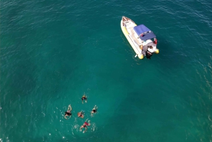 Desde Vlora: excursión en lancha rápida a la cueva de Haxhi Ali y Karaburun.